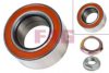 FAG 713 6671 50 Wheel Bearing Kit